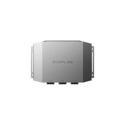 EcoFlow Batterieladegerät Plus 1000 + EcoFlow DELTA 2