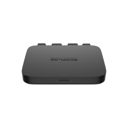 EcoFlow Batterieladegerät 800 W + WAVE 2 + WAVE 2 Zusatzbatterie