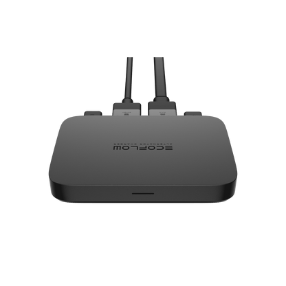 EcoFlow Batterieladegerät 800 W + WAVE 2 + WAVE 2 Zusatzbatterie