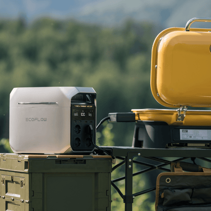 EcoFlow DELTA 3 Serie Solargenerator (PV220 W)