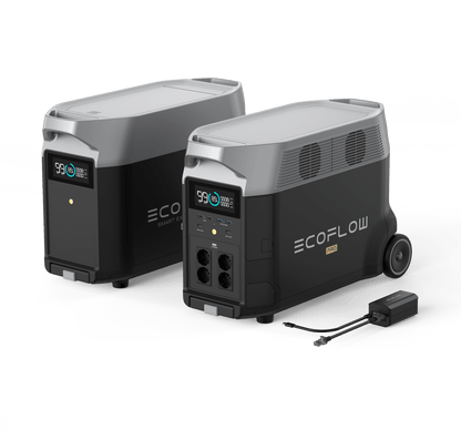 Tragbare RV- und EV-Stromversorgung mit EcoFlow DELTA Pro